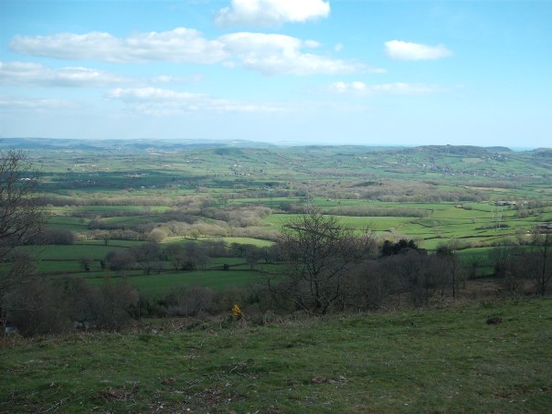 View from the top of Lambert's Castle over the Marshwood Vale